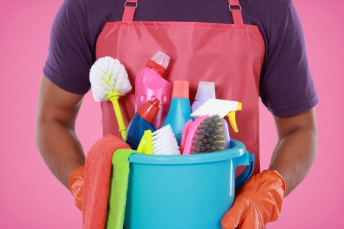 Seasonal deep domestic cleaning in a Camden household