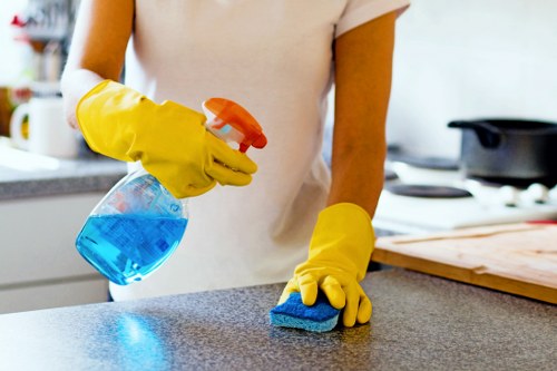 Bright, streak-free windows after Camden window cleaning