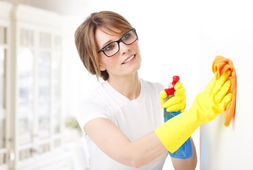 Camden carpet cleaning process treating stains and allergens
