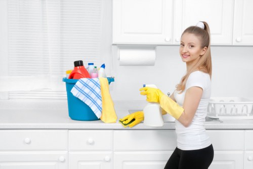 Kitchen appliance cleaning in Camden with attention to oven doors and racks