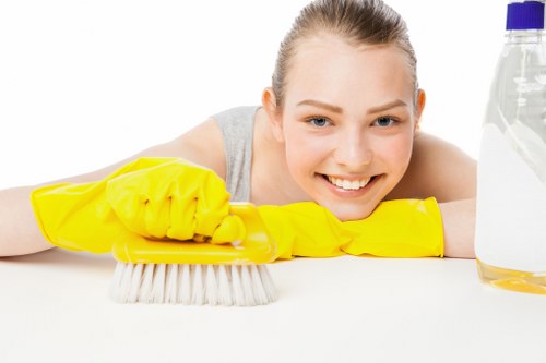 Illustration representing inclusive Camden Carpetcleaning online access