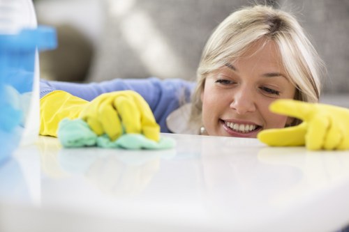 End of tenancy home cleaning in a Camden property