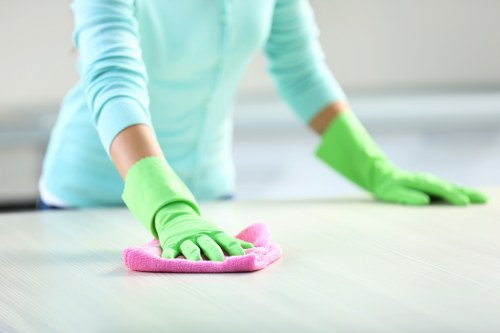 Professional sofa cleaning in a Camden living room