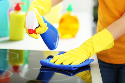 Office cleaners maintaining a Camden workspace